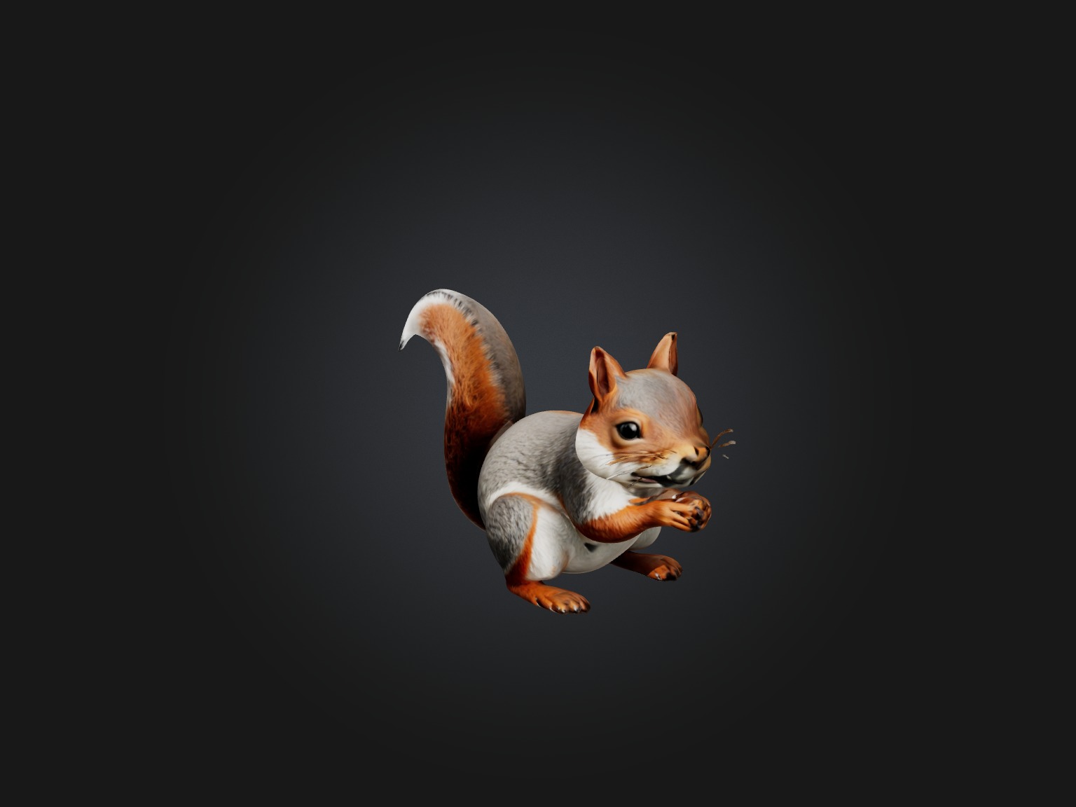 Realistic Squirrel Model Low-poly 3D model_1