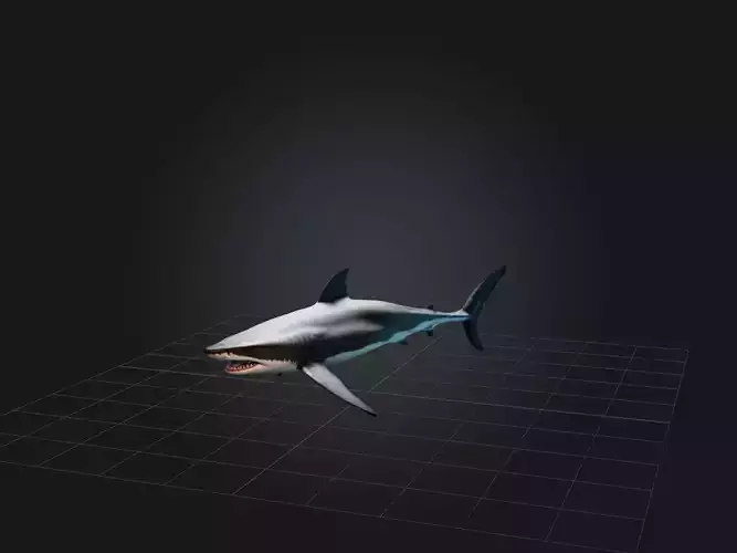 Realistic Shark Model