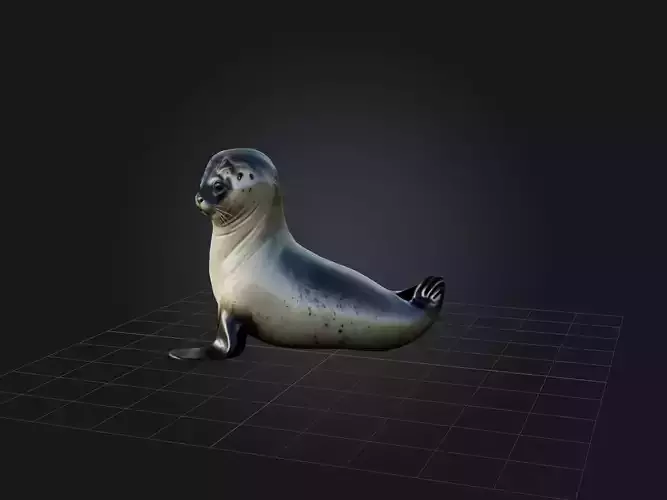 Realistic Seal Model