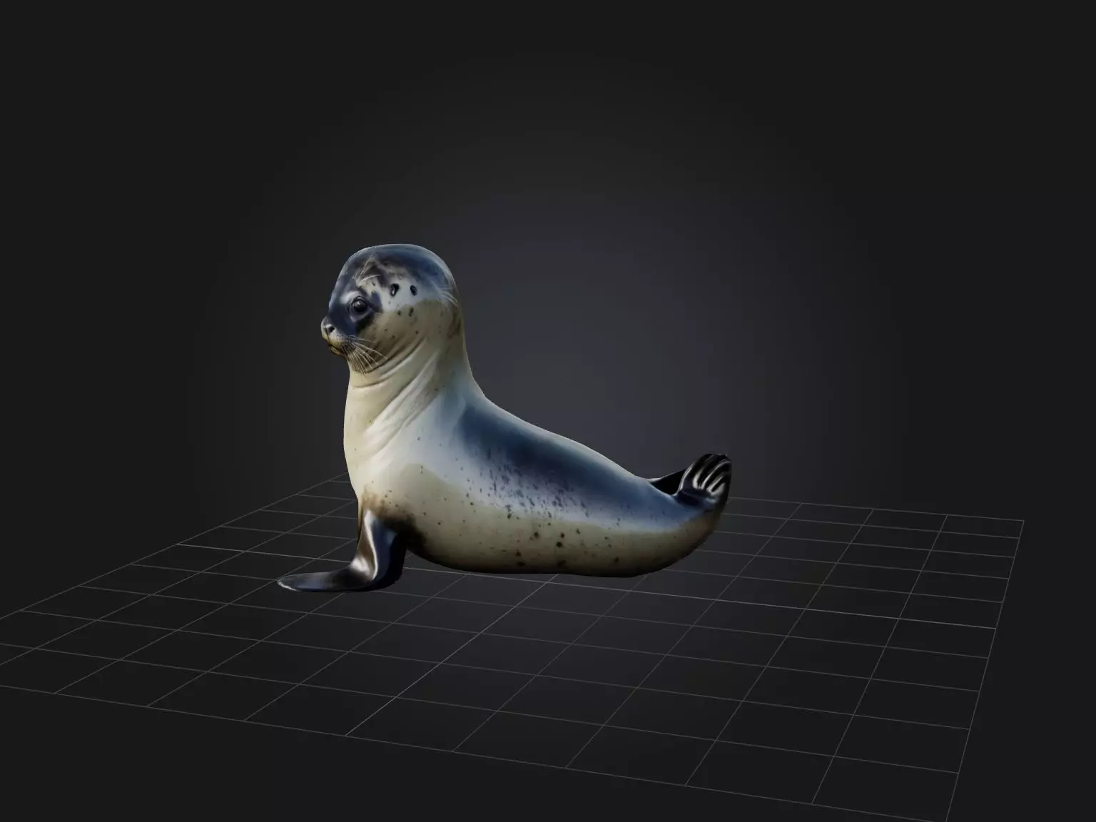 Realistic Seal Model Low-poly 3D model_0