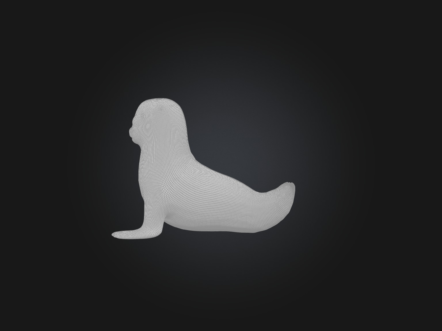 Realistic Seal Model Low-poly 3D model_2