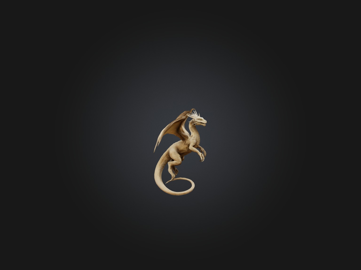 Realistic Sand Dragon Model Low-poly 3D model_7