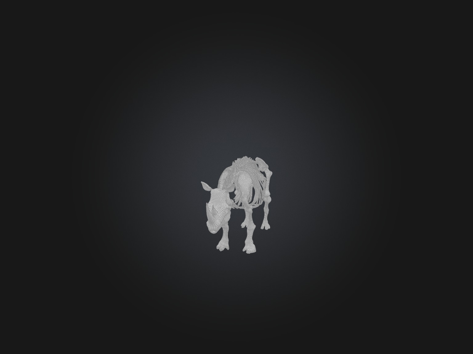 Realistic Rhinoceros Skeleton Model Low-poly 3D model_3