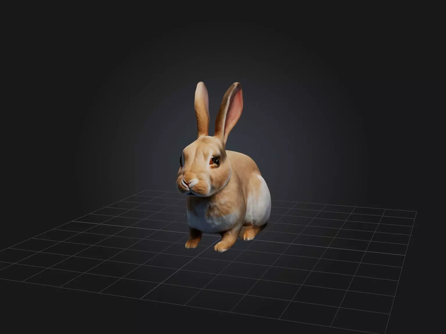 Realistic Rabbit Model Low-poly 3D model_0