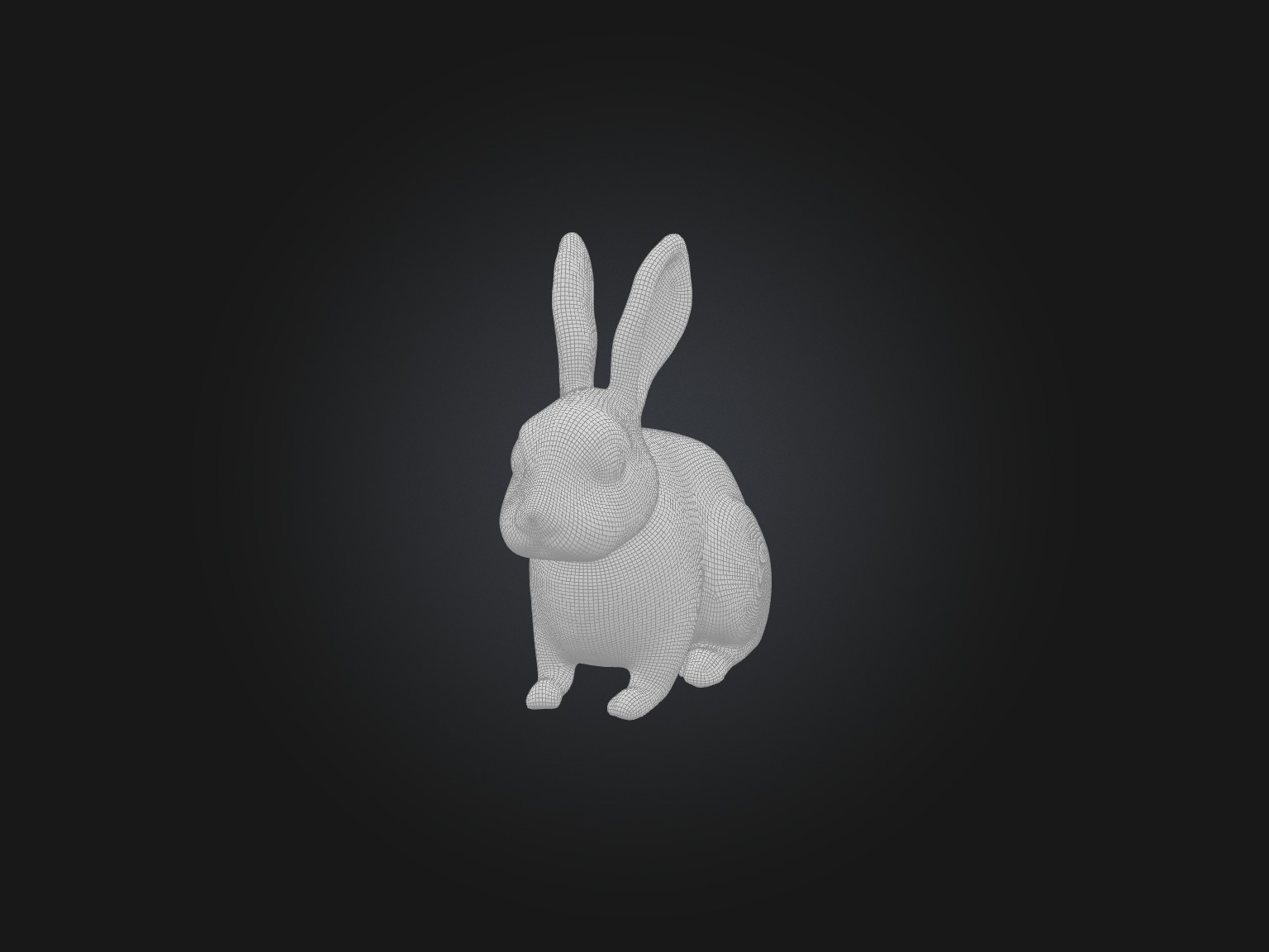 Realistic Rabbit Model Low-poly 3D model_2
