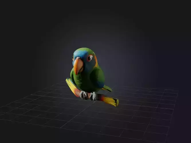 Realistic Parrot Model