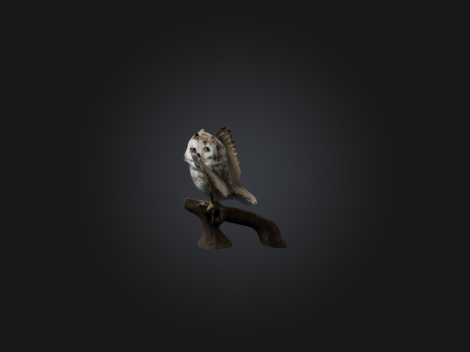 Realistic Owl Model Low-poly 3D model_3