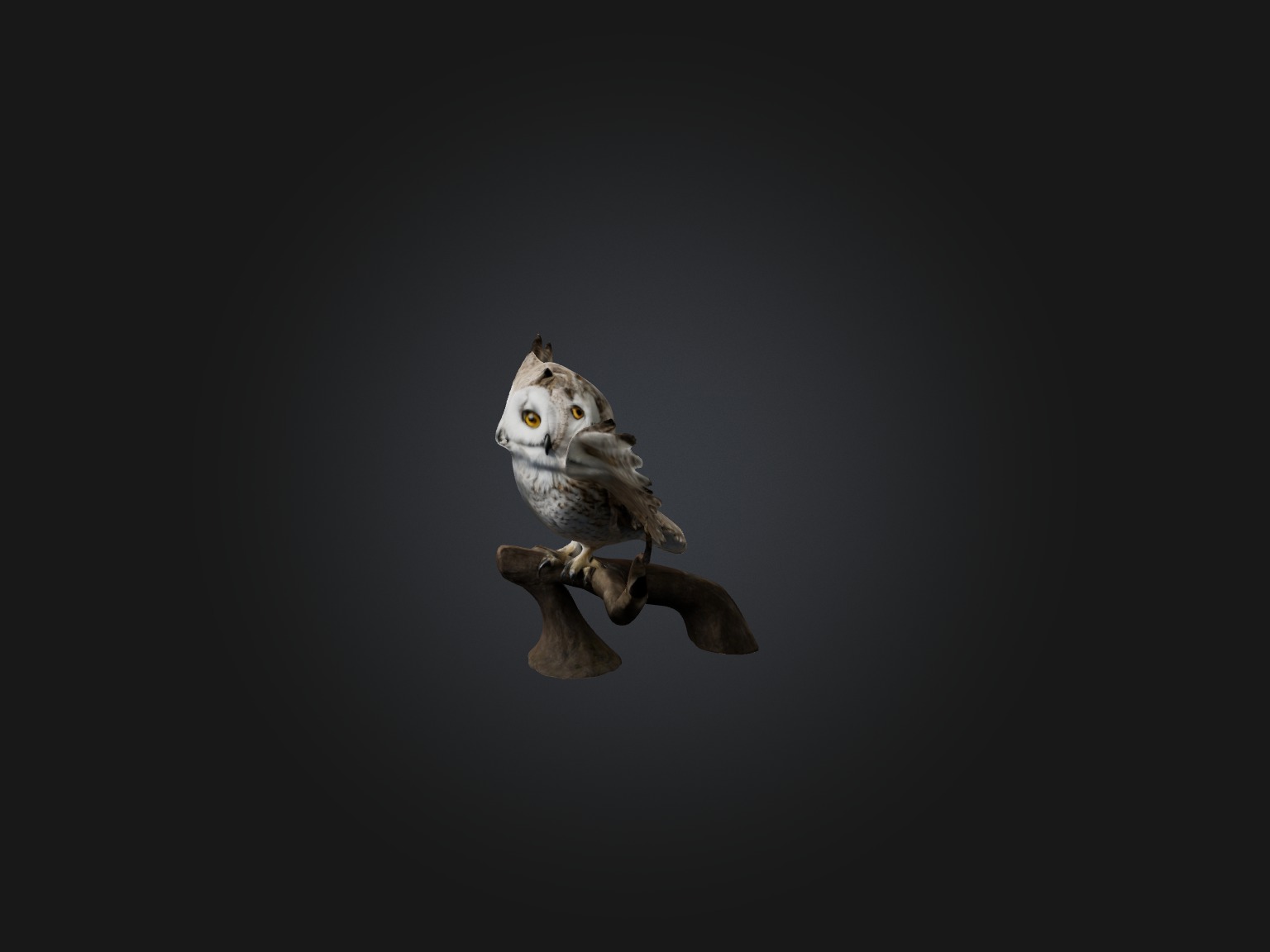 Realistic Owl Model Low-poly 3D model_5