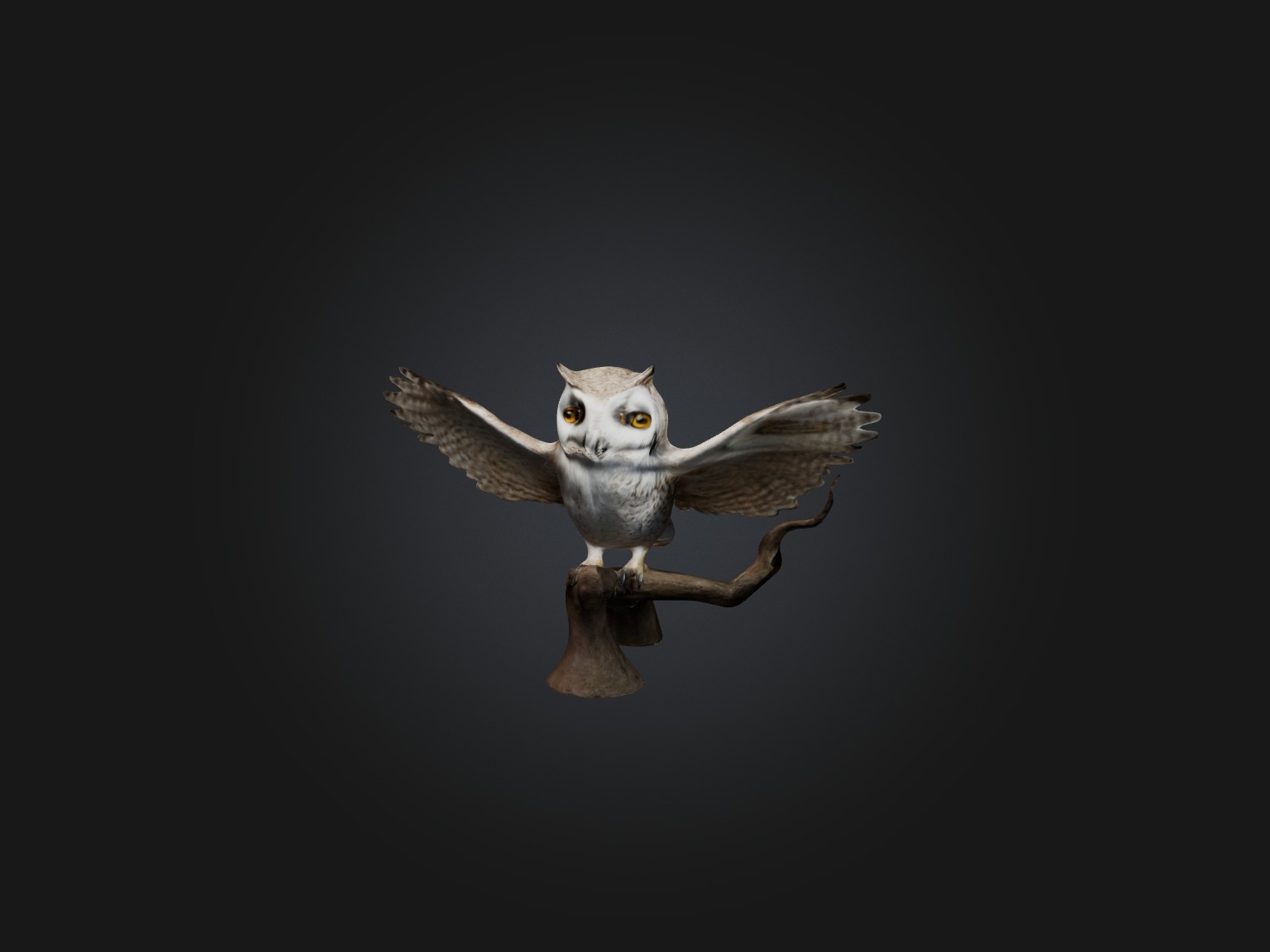 Realistic Owl Model Low-poly 3D model_4