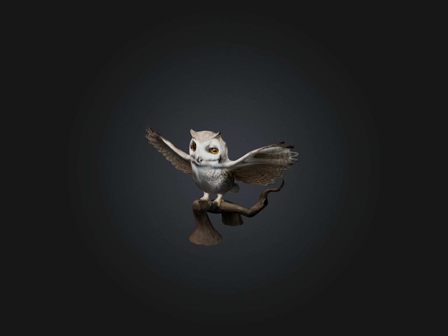 Realistic Owl Model Low-poly 3D model_6