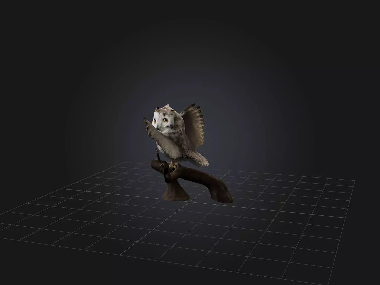 Realistic Owl Model Low-poly 3D model_0