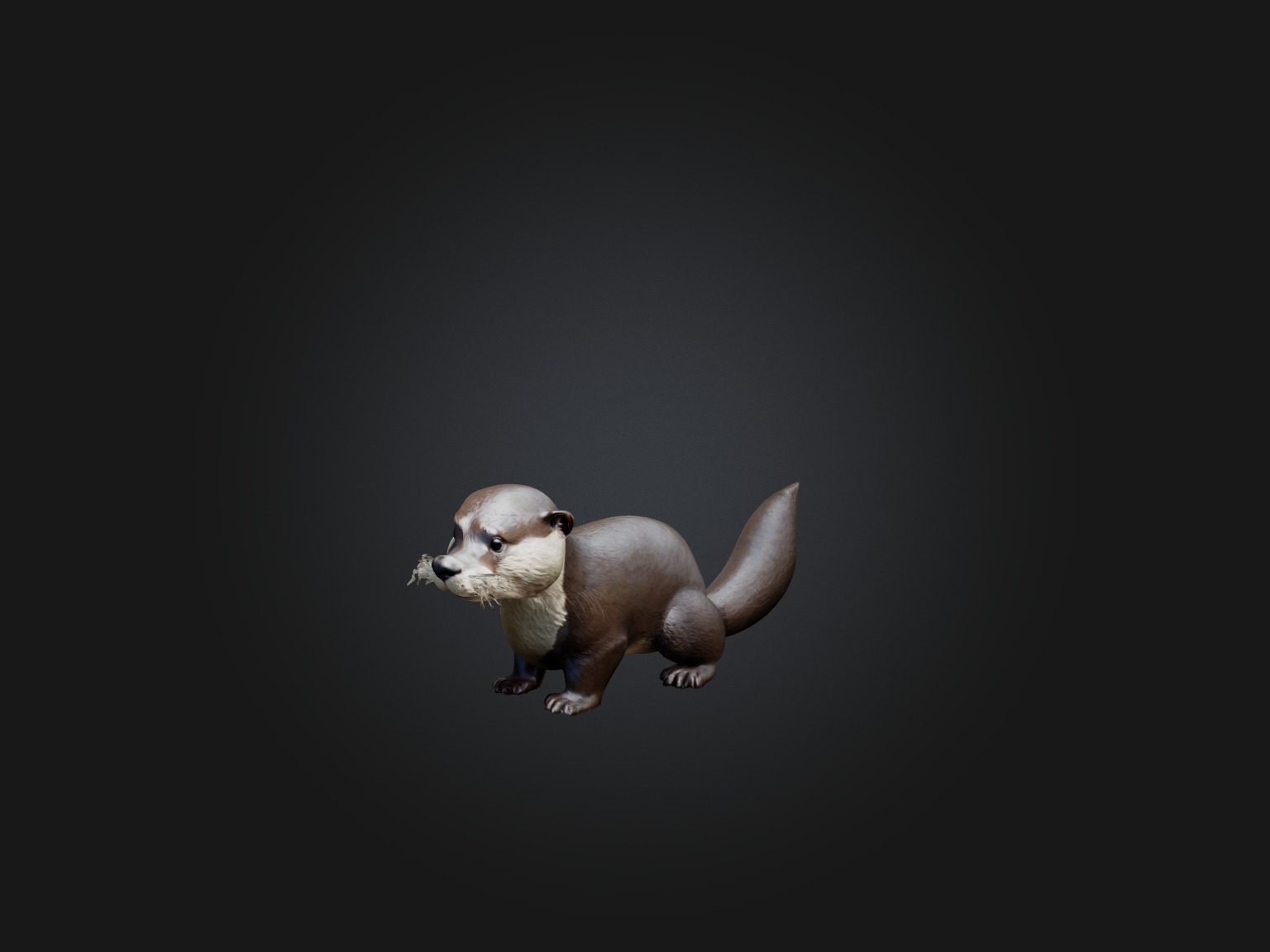 Realistic Otter Model Low-poly 3D model_1