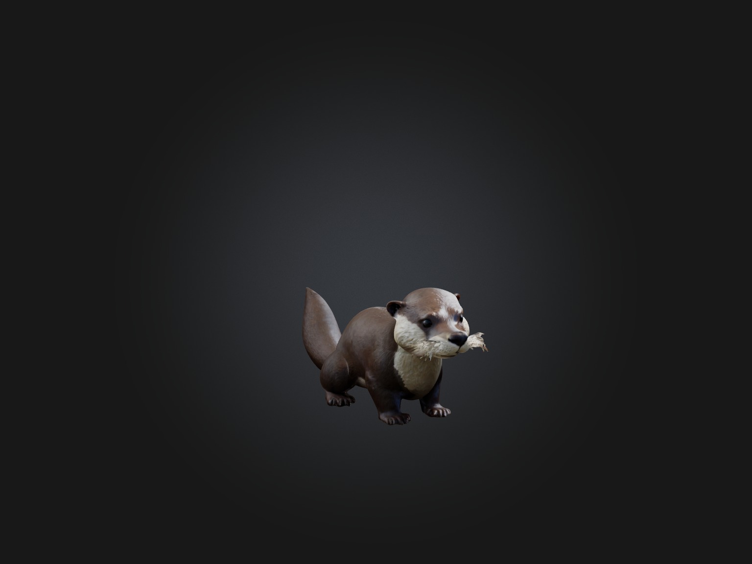 Realistic Otter Model Low-poly 3D model_6