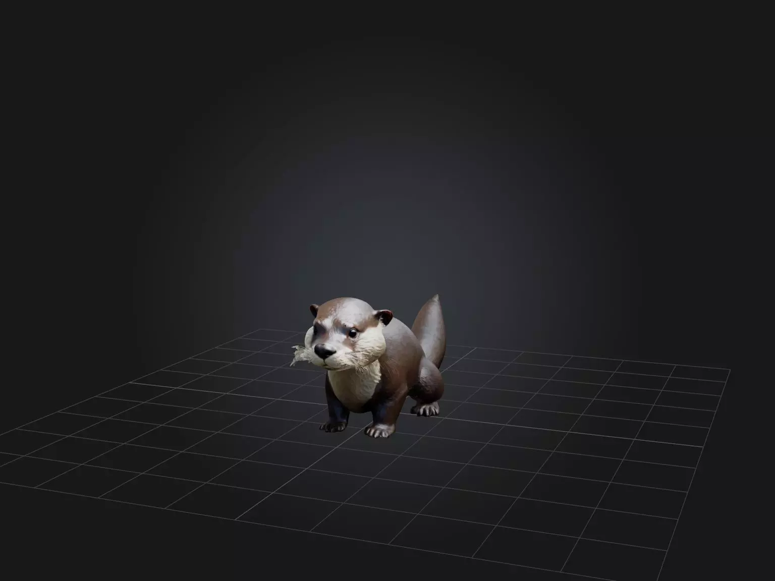 Realistic Otter Model Low-poly 3D model_0