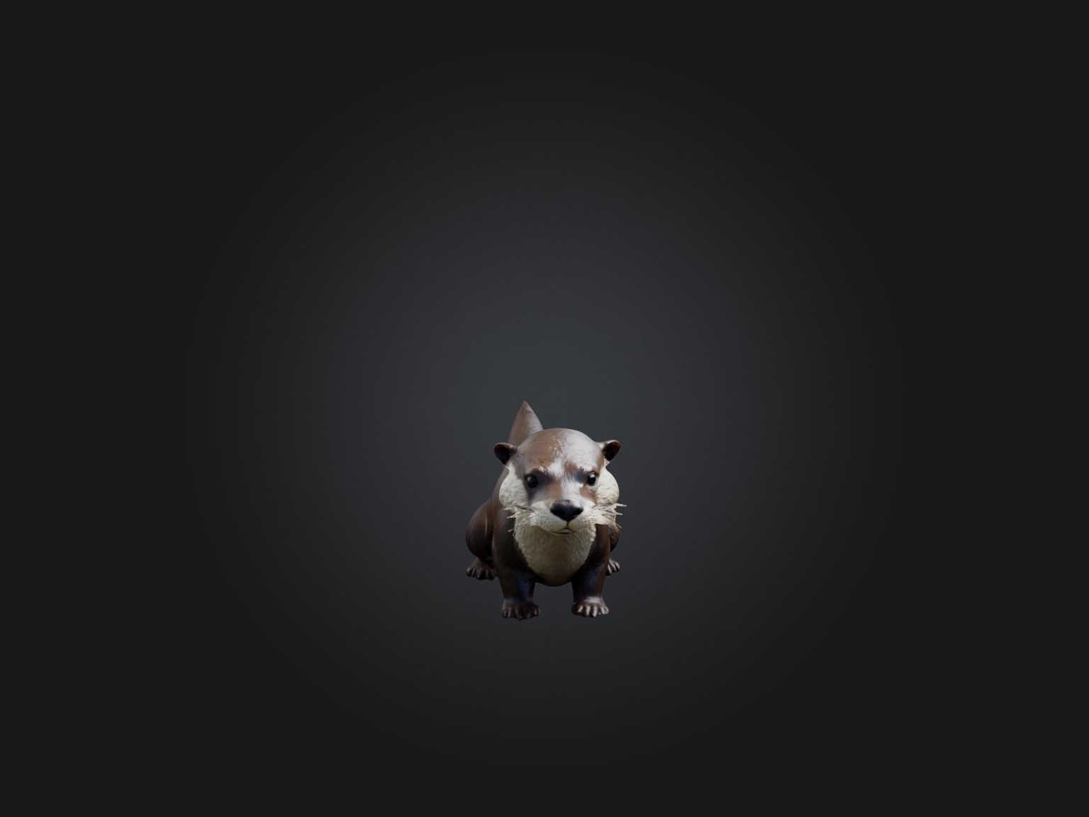 Realistic Otter Model Low-poly 3D model_5