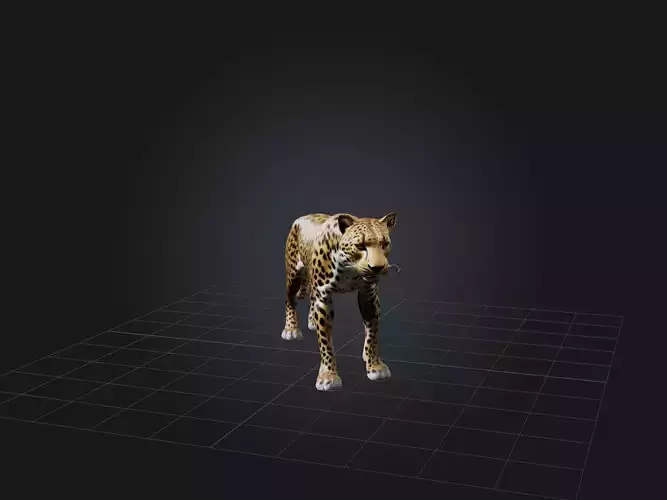 Realistic Leopard Model