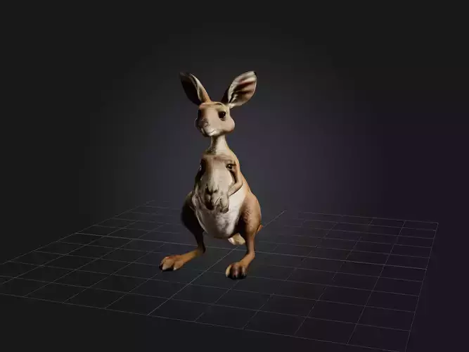 Realistic Kangaroo Model
