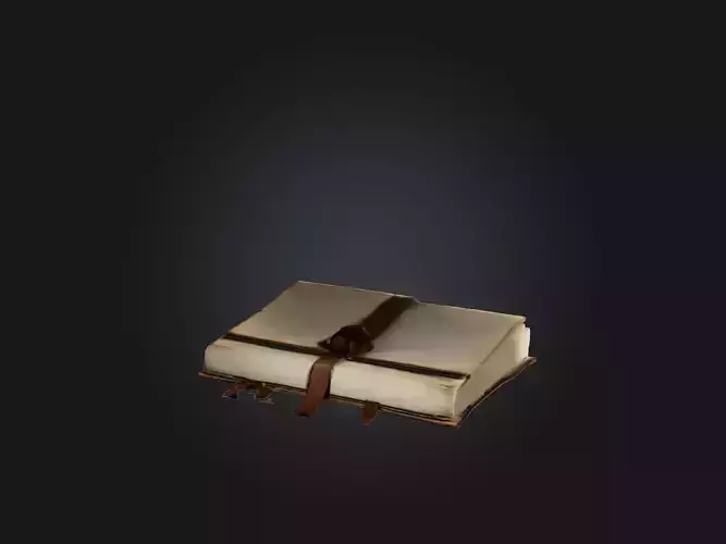 Realistic Journal Model