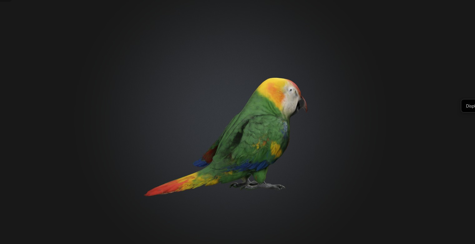 Realistic Injured Parrot Model Low-poly 3D model_6