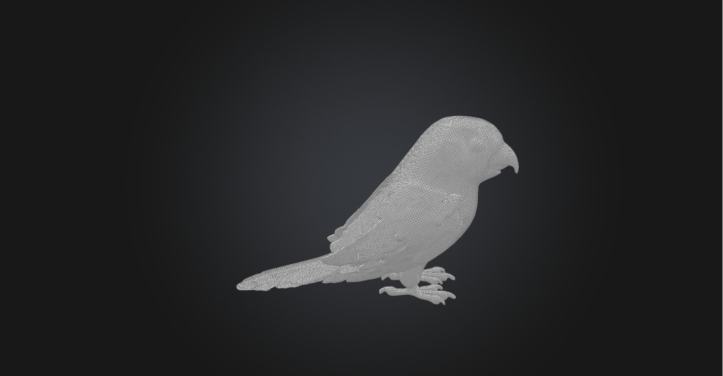 Realistic Injured Parrot Model Low-poly 3D model_3