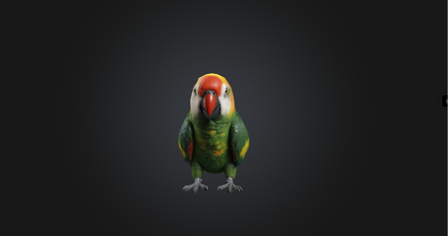 Realistic Injured Parrot Model Low-poly 3D model_7