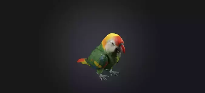 Realistic Injured Parrot Model