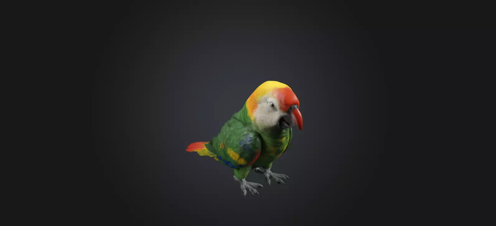 Realistic Injured Parrot Model Low-poly 3D model_0