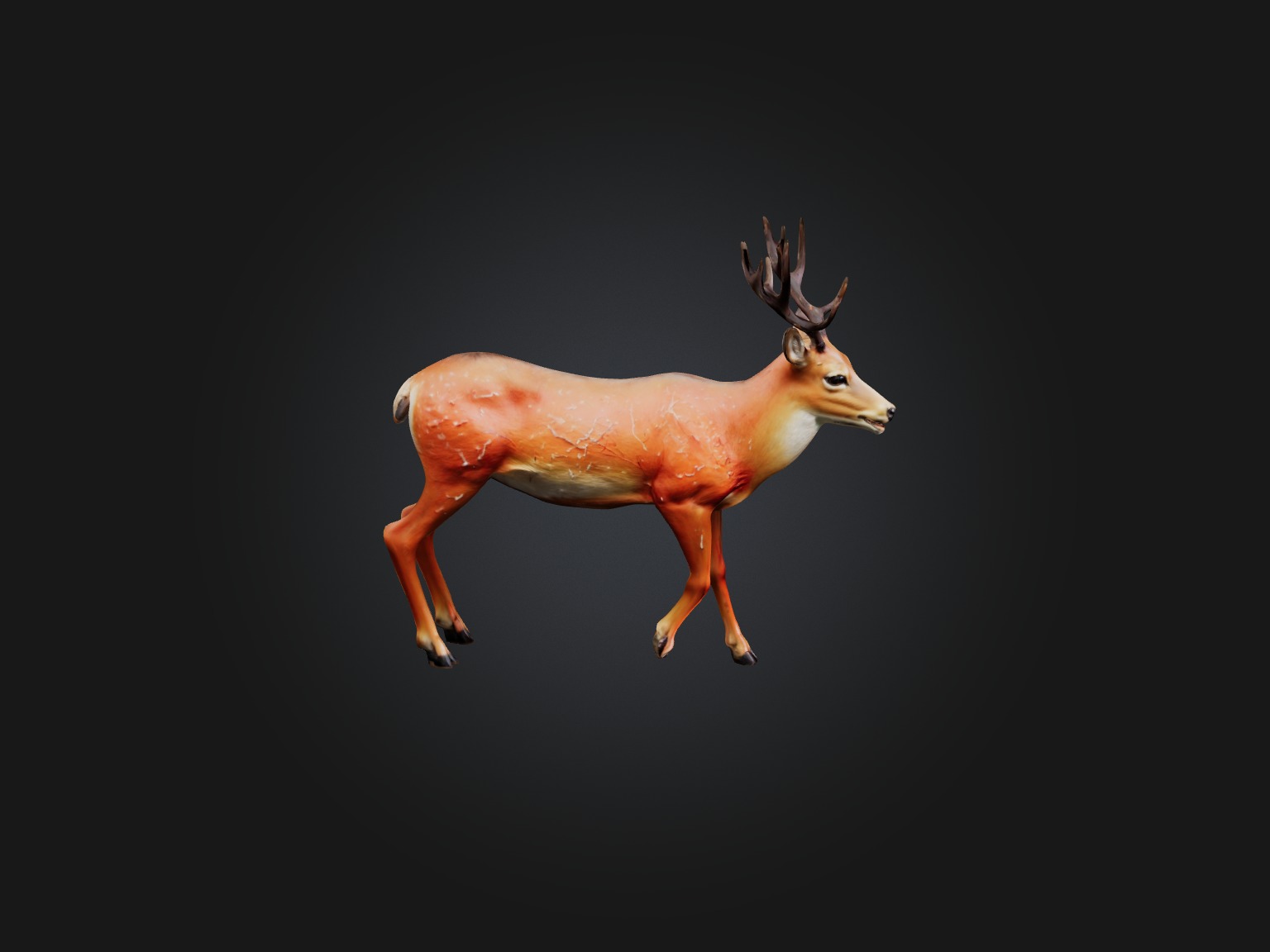 Realistic Injured Deer Model Low-poly 3D model_6
