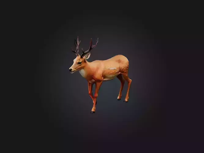 Realistic Injured Deer Model