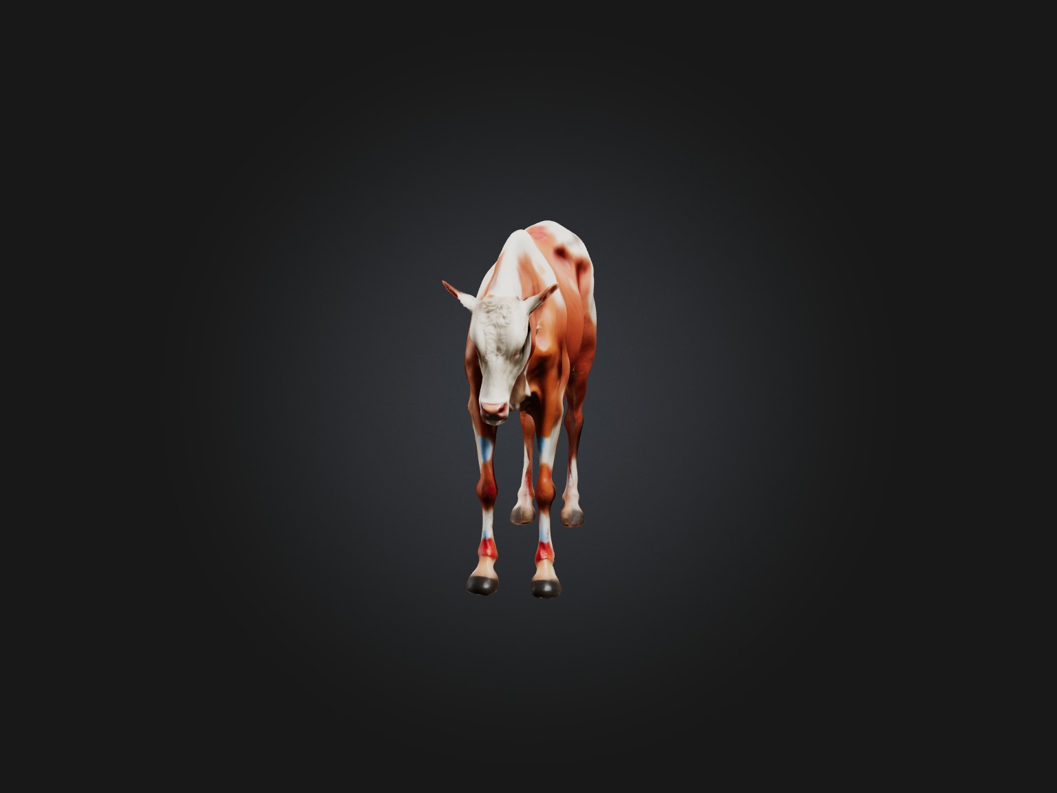 Realistic Injured Calf Model Low-poly 3D model_1