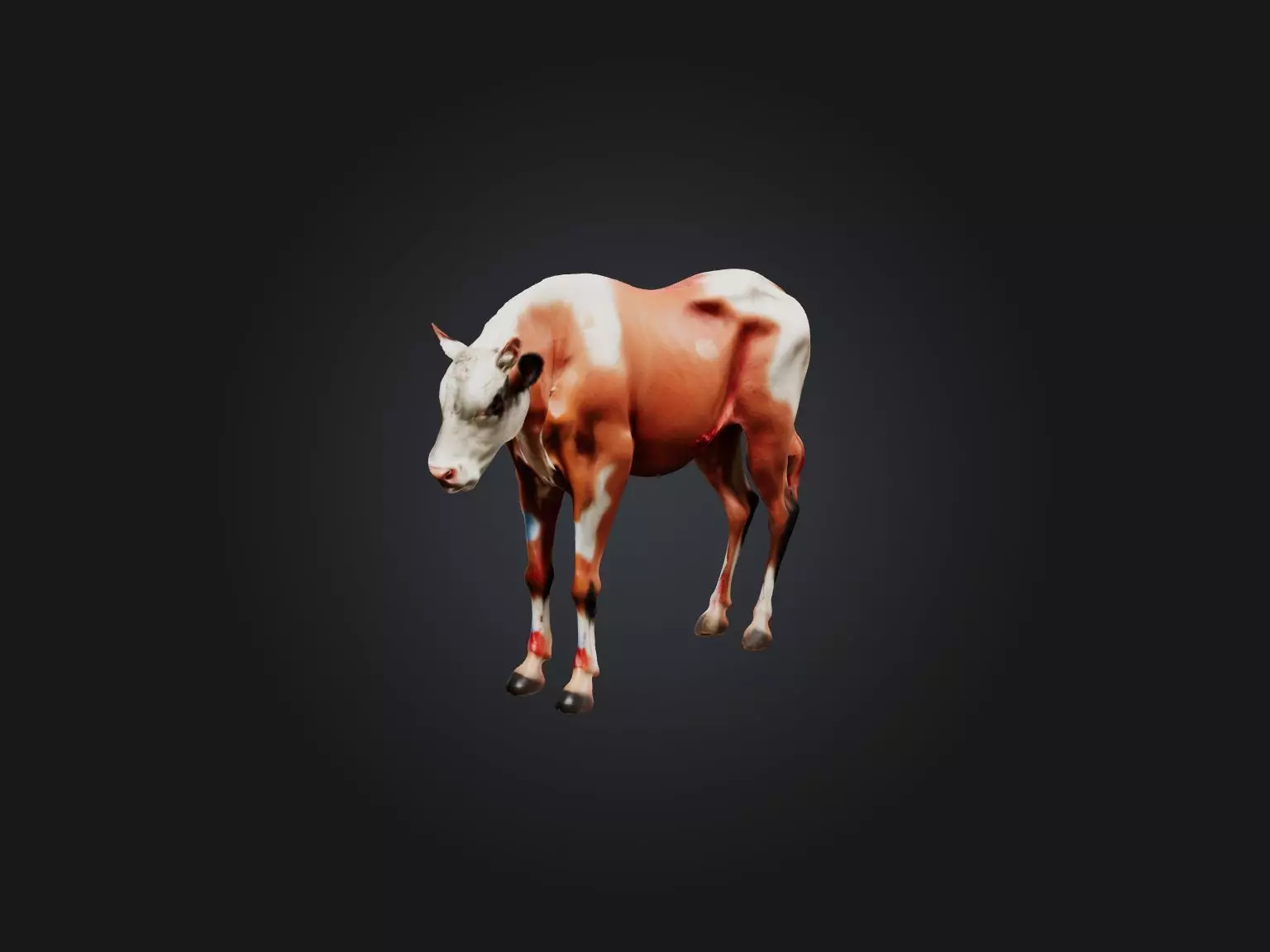 Realistic Injured Calf Model Low-poly 3D model_0