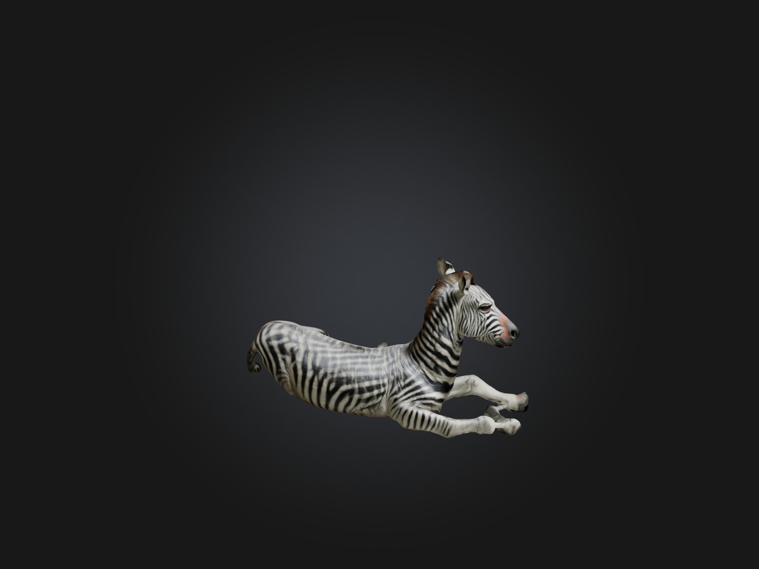 Realistic Hurt Zebra Model Low-poly 3D model_6