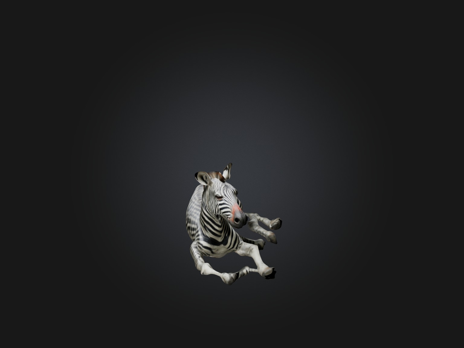 Realistic Hurt Zebra Model Low-poly 3D model_4