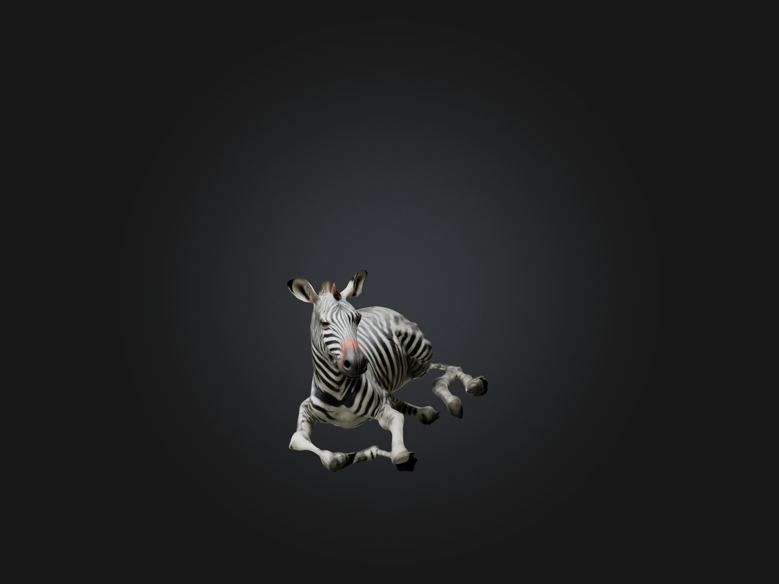 Realistic Hurt Zebra Model Low-poly 3D model_3