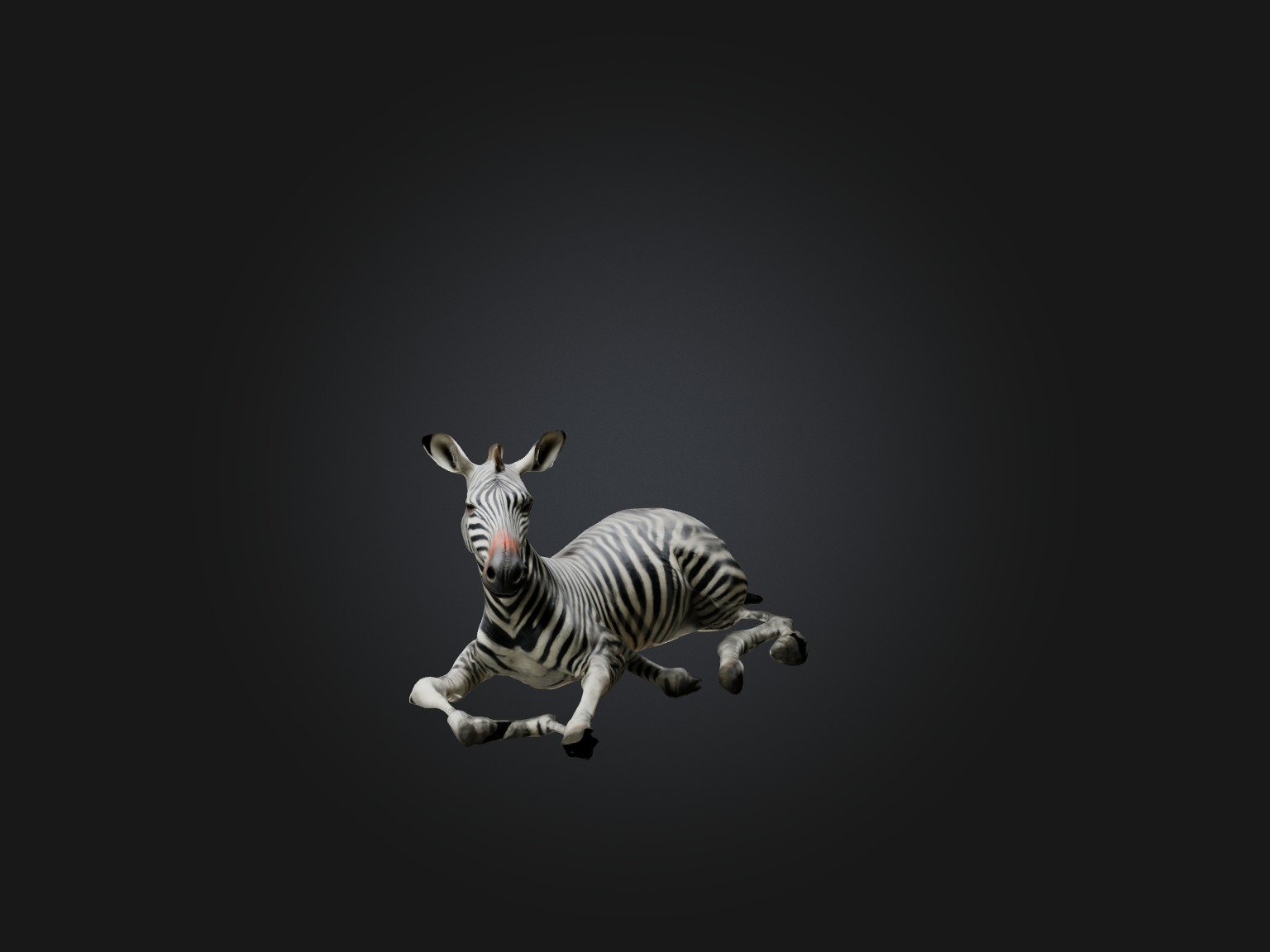 Realistic Hurt Zebra Model Low-poly 3D model_1