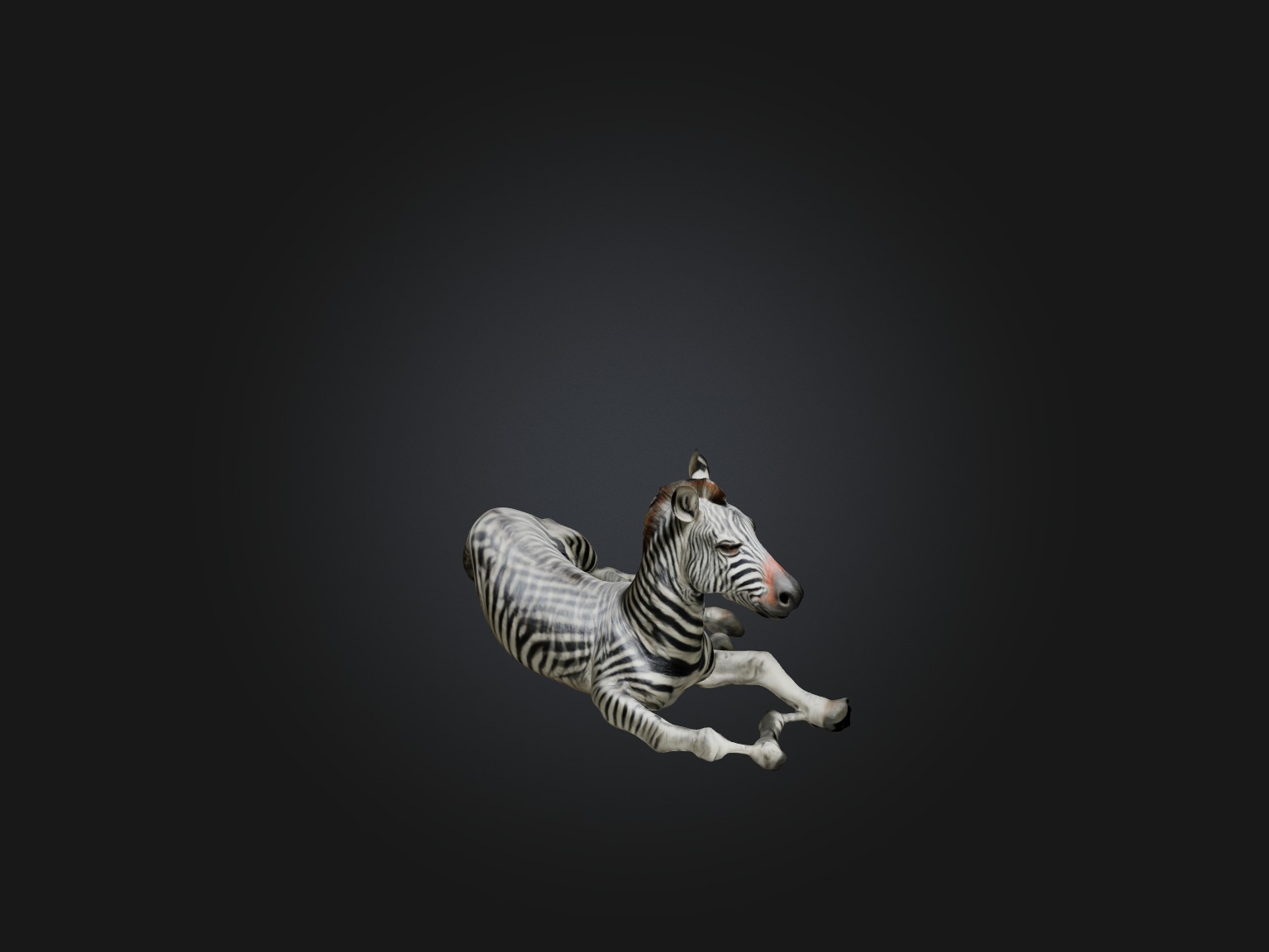 Realistic Hurt Zebra Model Low-poly 3D model_5