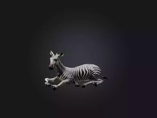 Realistic Hurt Zebra Model