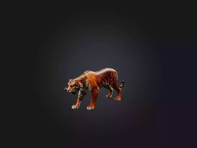 Realistic Hurt Tiger Model
