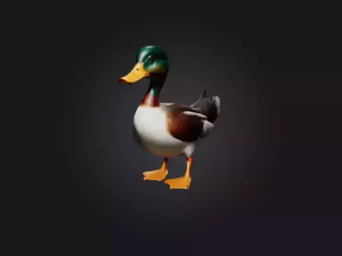 Realistic Hurt Duck Model