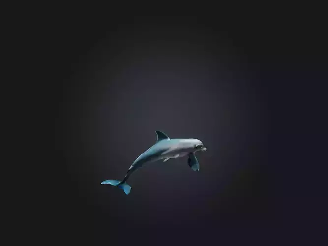 Realistic Hurt Dolphin Model