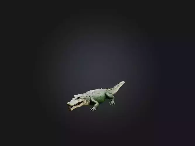 Realistic Hurt Crocodile Model