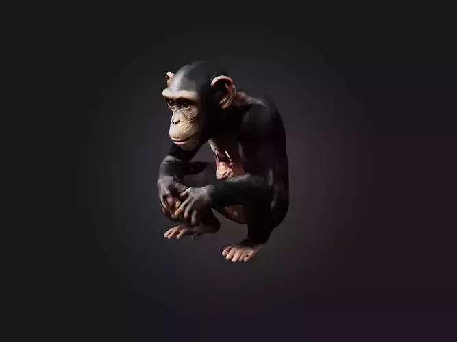 Realistic Hurt Chimpanzee Model