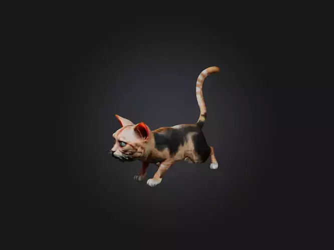 Realistic Hurt Cat Model