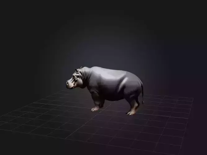 Realistic Hippopotamus Model