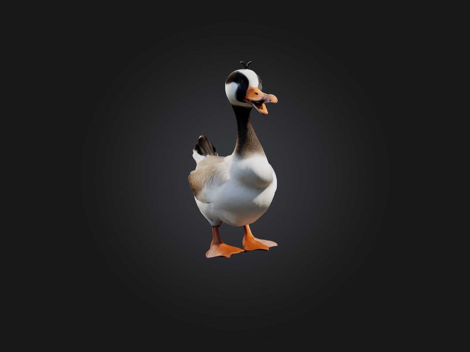 Realistic Goose Model Low-poly 3D model_7