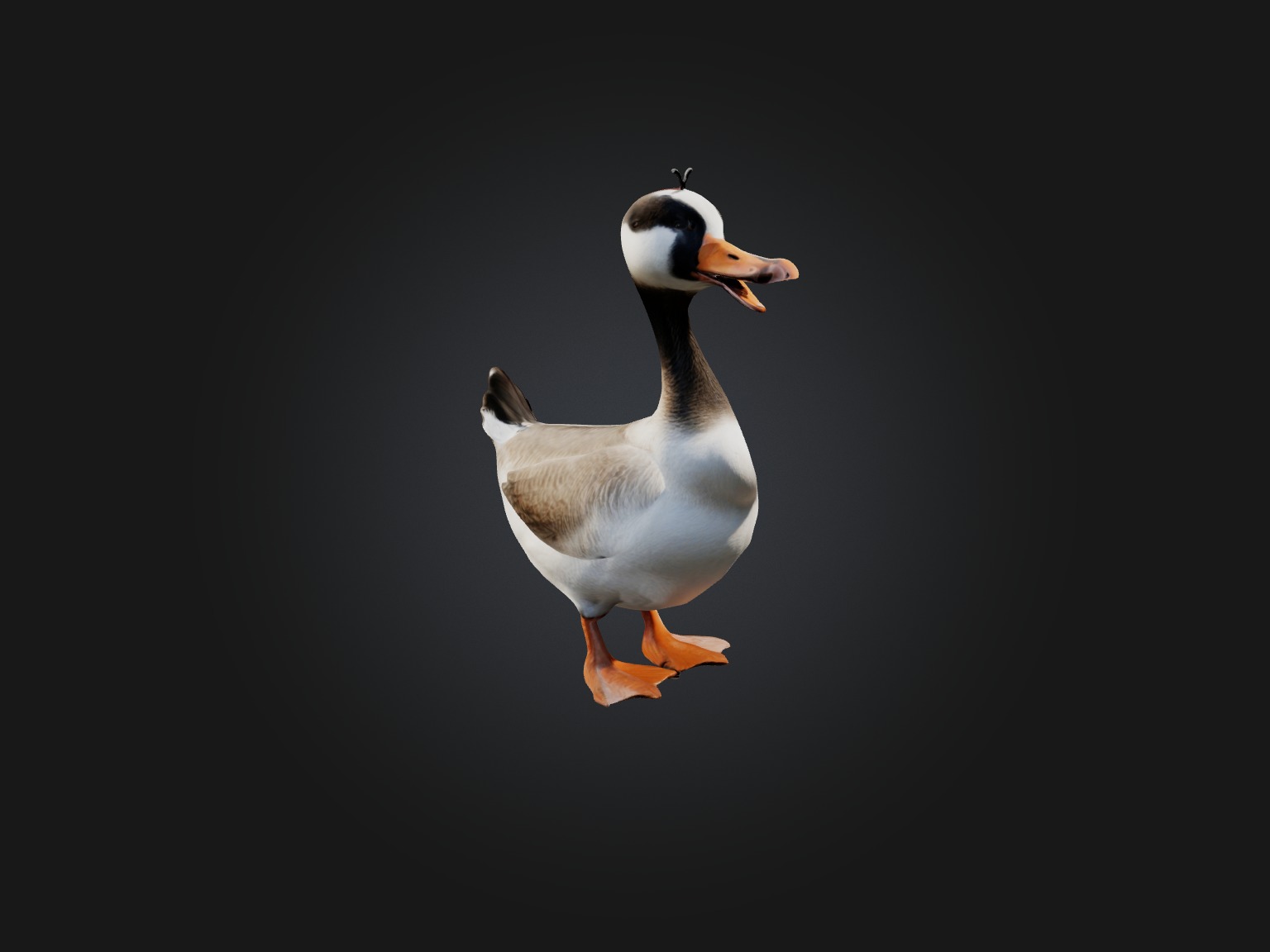 Realistic Goose Model Low-poly 3D model_6