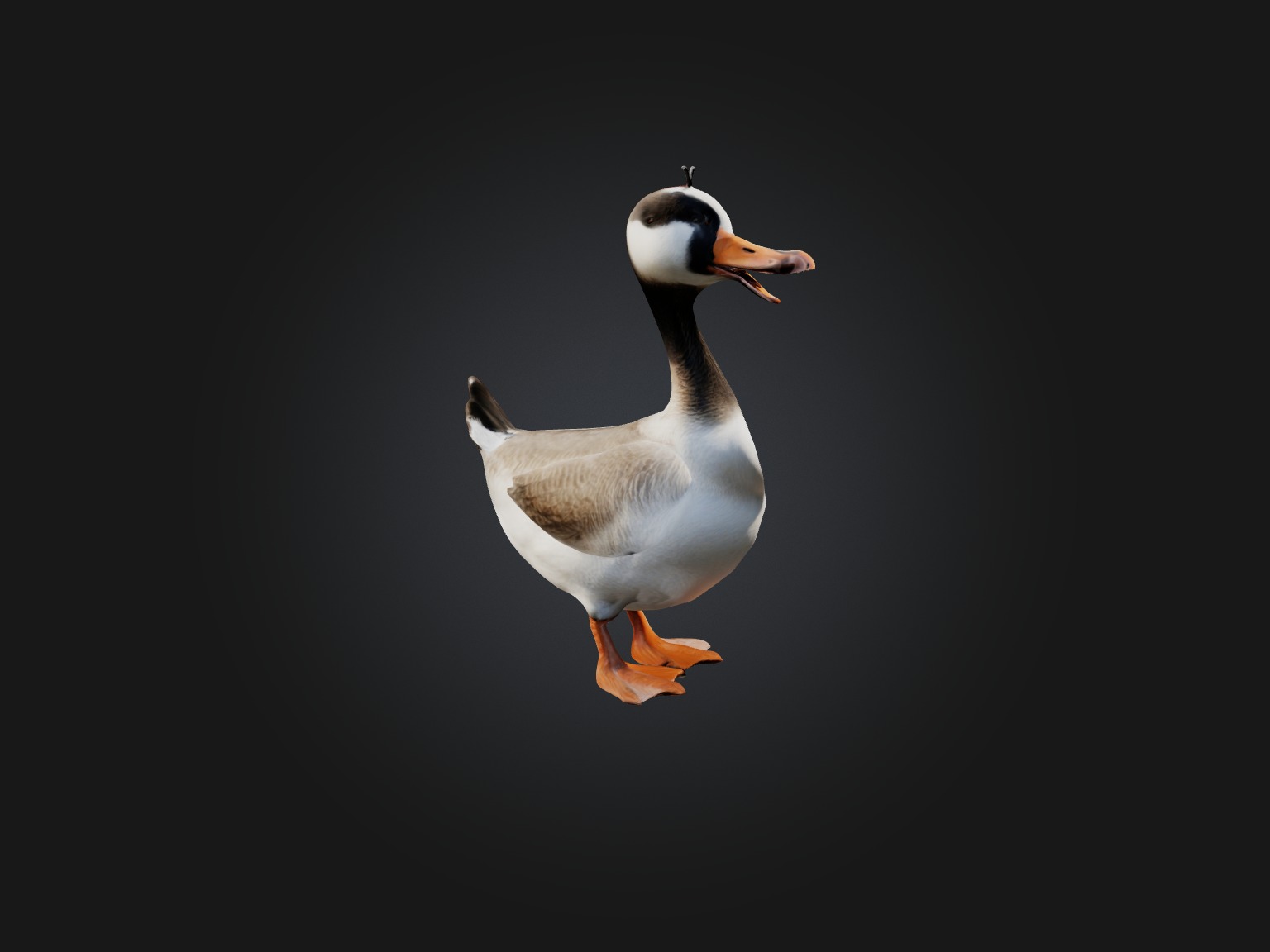 Realistic Goose Model Low-poly 3D model_4
