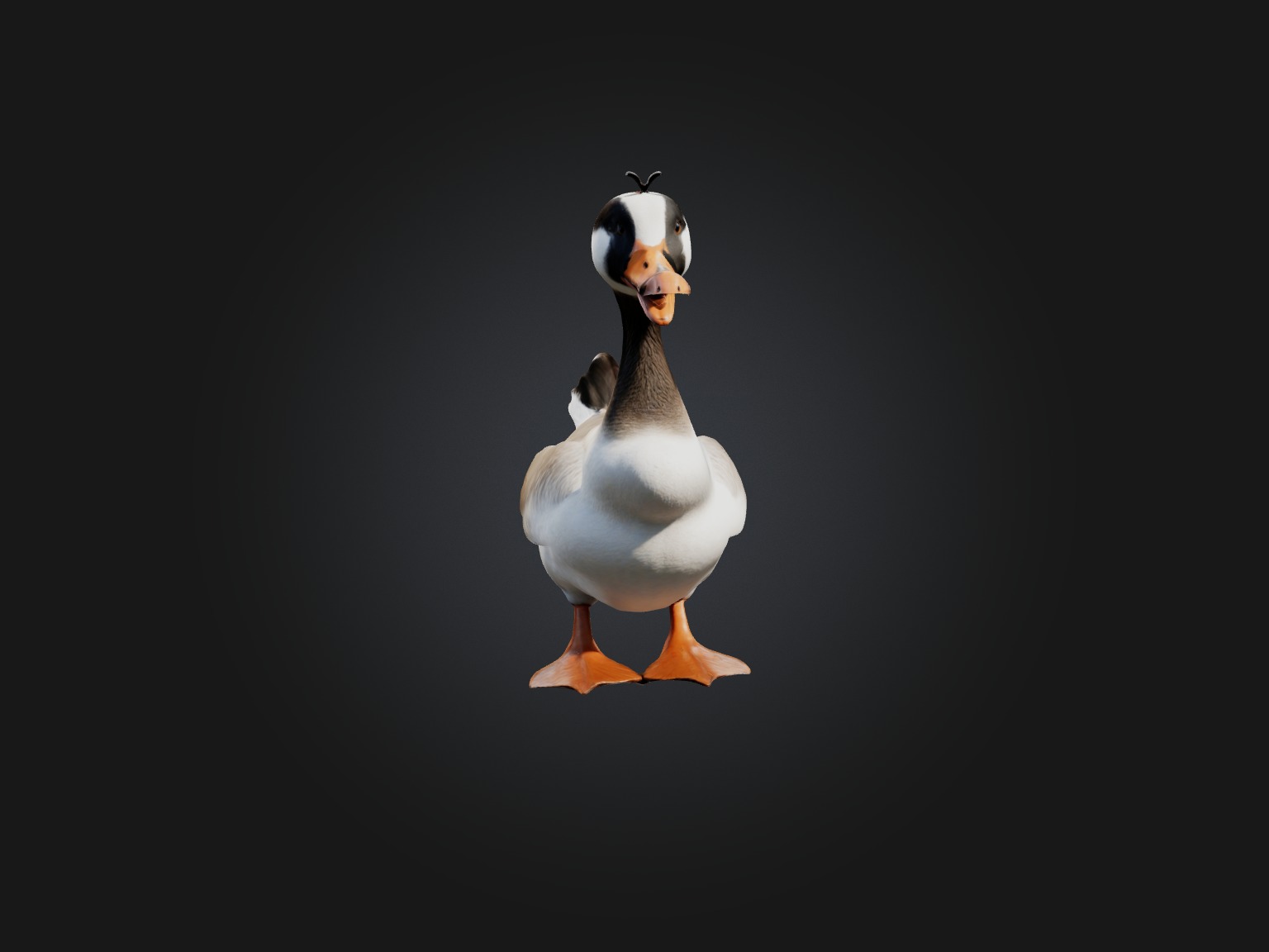 Realistic Goose Model Low-poly 3D model_5