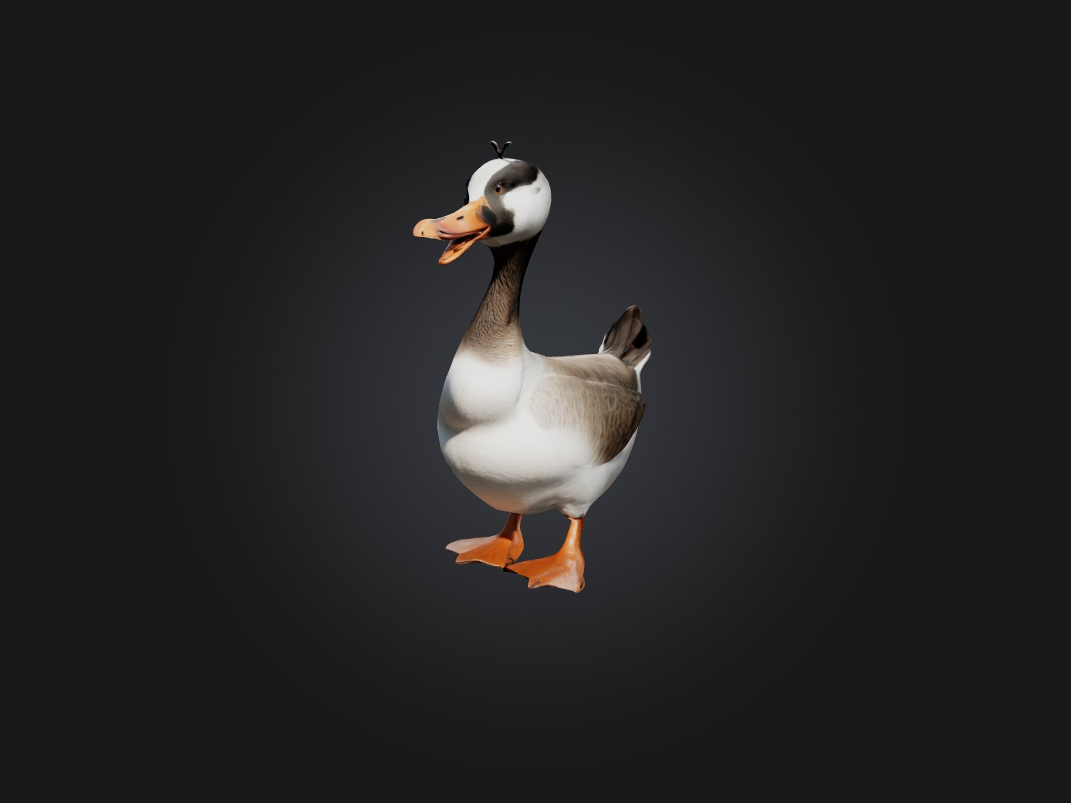 Realistic Goose Model Low-poly 3D model_1