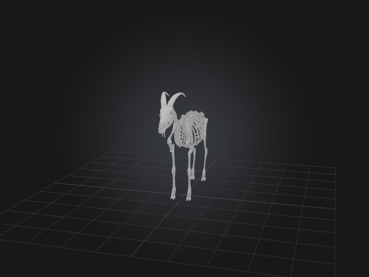 Realistic Goat Skeleton Model Low-poly 3D model_3